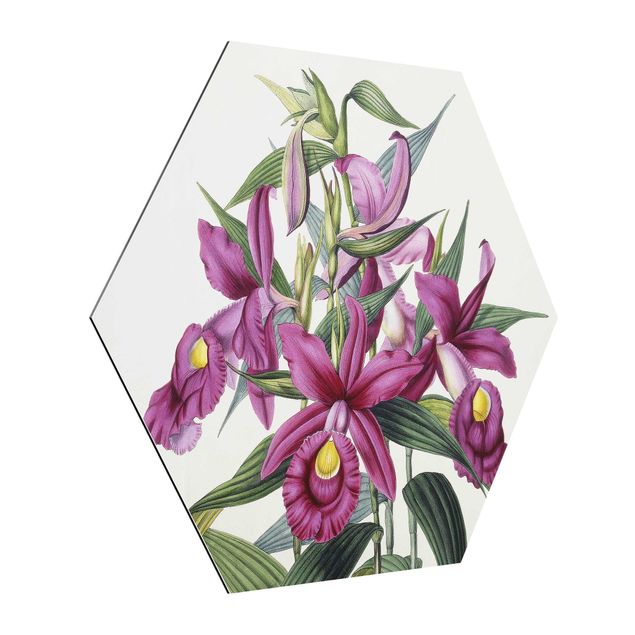 Esagono in Alluminio Dibond - Maxim Gauci - Orchidea I