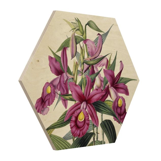 Esagono in legno - Maxim Gauci - Orchidea I