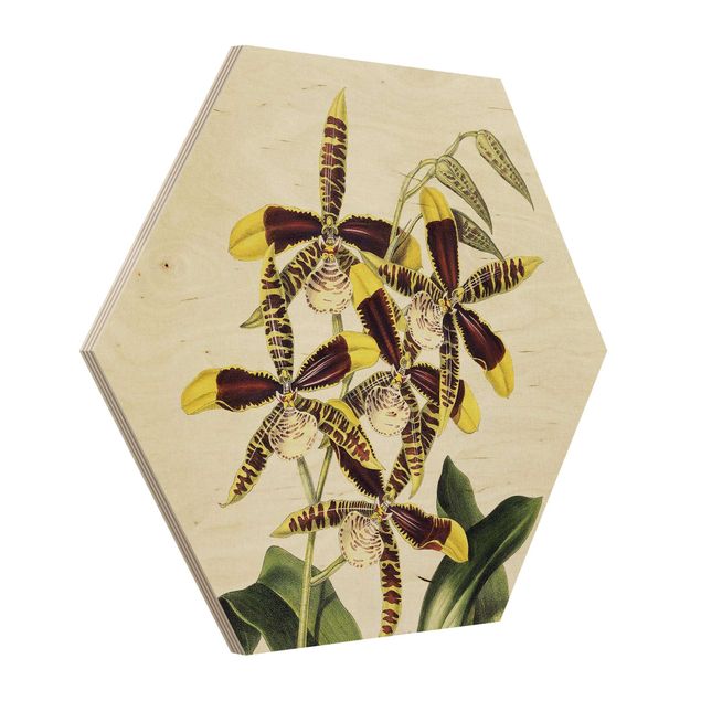 Esagono in legno - Maxim Gauci - Orchidea II
