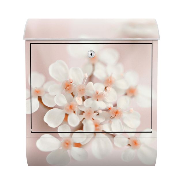 Cassetta postale - Piccoli fiori in luce rosata