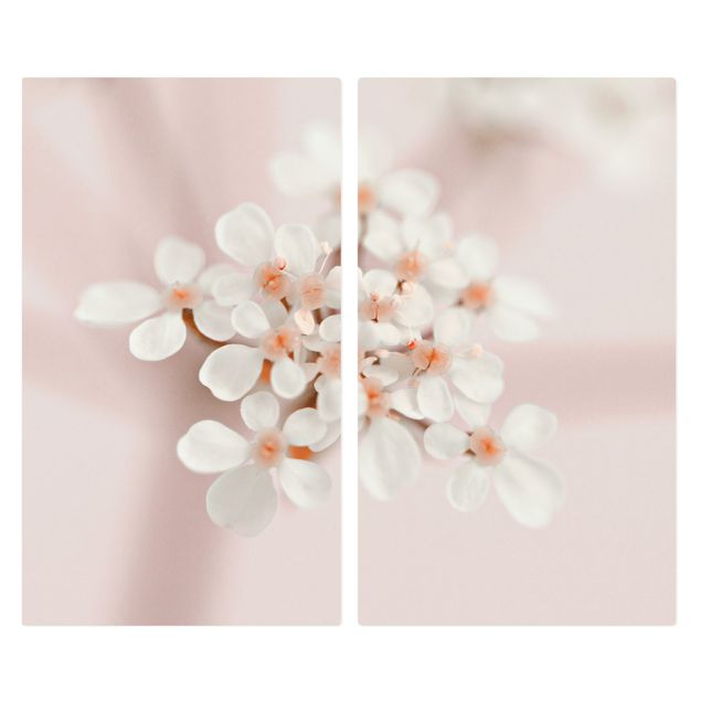 Coprifornelli - Piccoli fiori in luce rosata