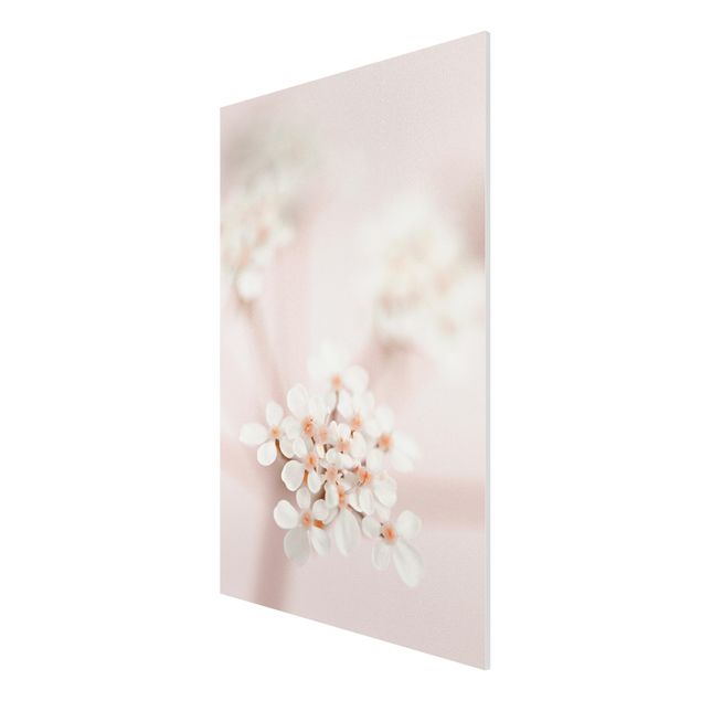 Stampa su Forex - Piccoli fiori in luce rosata - Formato verticale 2:3