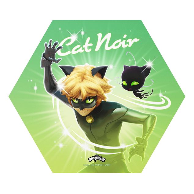 Esagono in forex - Miraculous Chat Noir e Plagg