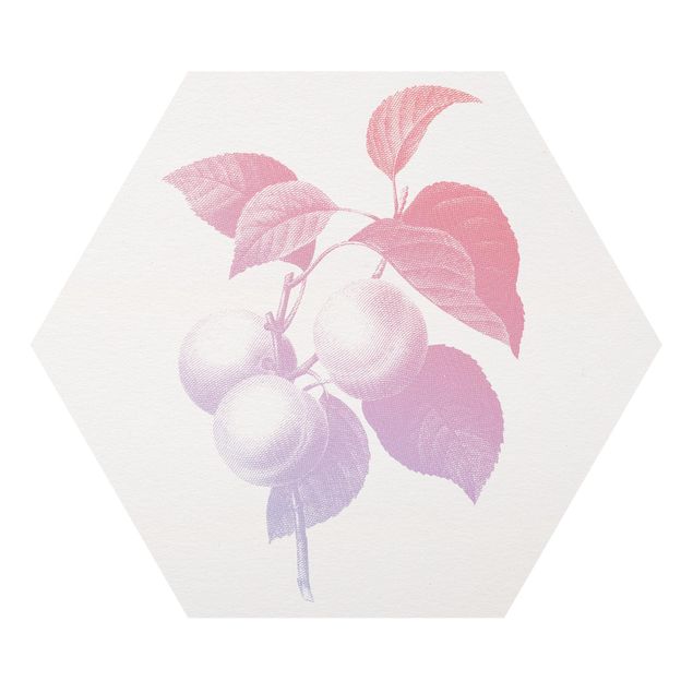 Esagono in forex - Botanica moderna vintage pesca in rosa violetto