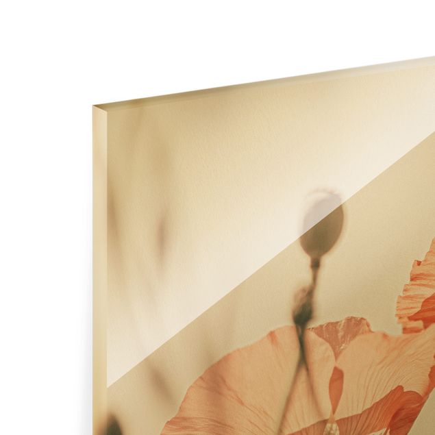 Quadro in vetro - Papaveri nella brezza estiva - Formato verticale