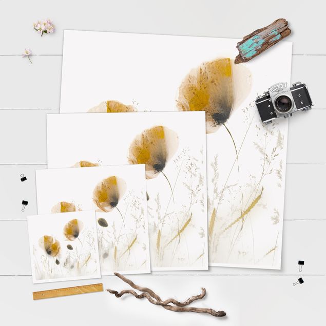Poster - Papaveri e erbe delicate nella morbida nebbia