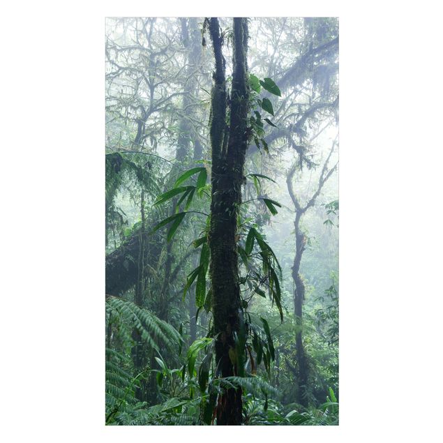 Rivestimento per doccia - Foresta nuvolosa di Monteverde