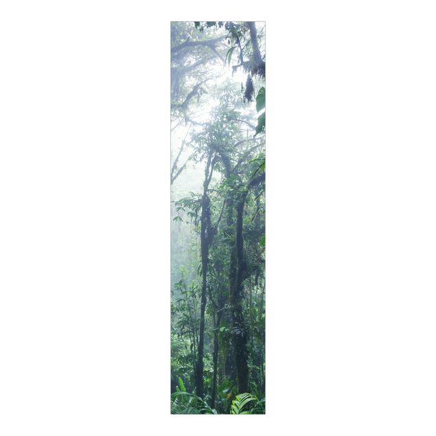 set tende a pannello Foresta nuvolosa di Monteverde