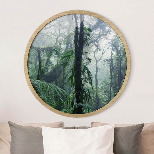 Poster con cornice rotonda Foresta nuvolosa di Monteverde