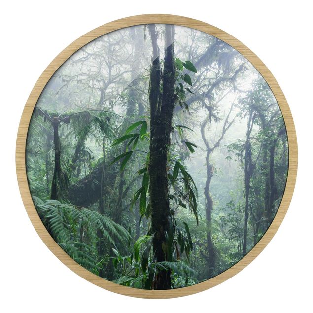 Quadro rotondo incorniciato - Foresta nuvolosa di Monteverde