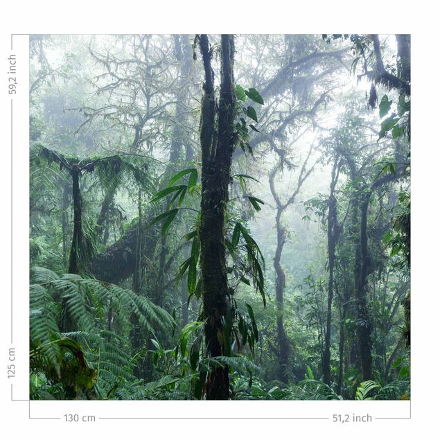 Tende oscuranti Foresta nuvolosa di Monteverde