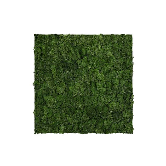 Pannello fonoassorbente - Parete di muschio verde oliva - 52x52 cm