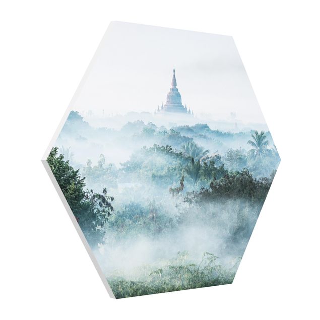 Esagono in forex - Nebbia mattutina sulla giungla di Bagan