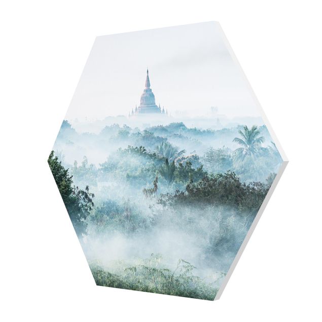 Esagono in forex - Nebbia mattutina sulla giungla di Bagan