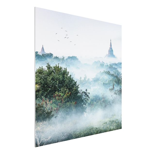 Stampa su Forex - Nebbia mattutina sulla giungla di Bagan - Quadrato 1:1