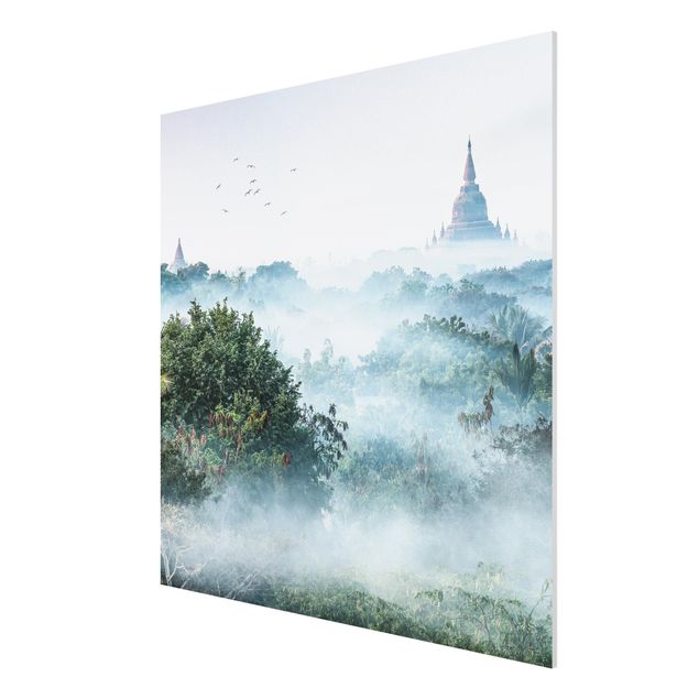Stampa su Forex - Nebbia mattutina sulla giungla di Bagan - Quadrato 1:1