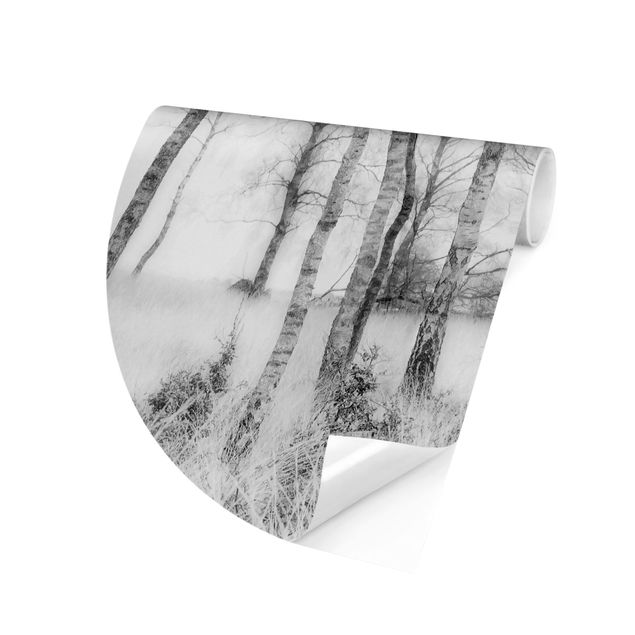Carta da parati rotonda Foresta di betulle mistica in bianco e nero