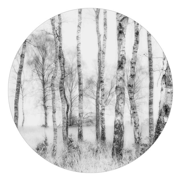 Carta da parati rotonda autoadesiva - Mystic foresta di betulle bianco e nero