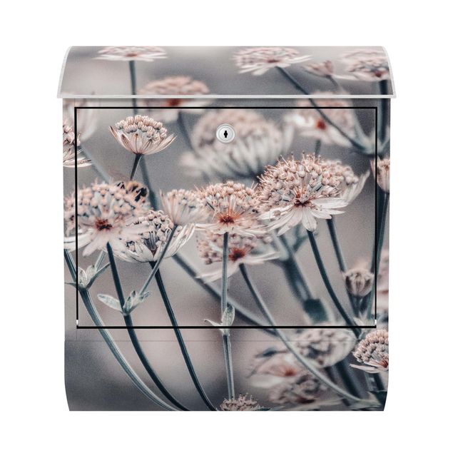 Cassetta postale - Mistico cespuglio di fiori