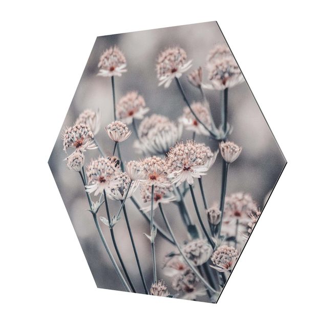 Esagono in Alluminio Dibond - Mistico cespuglio di fiori