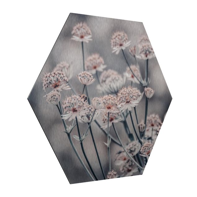 Esagono in Alluminio Dibond - Mistico cespuglio di fiori