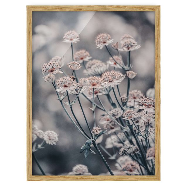 Poster con cornice - Mistico cespuglio di fiori