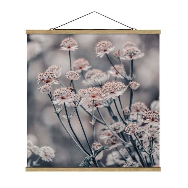 Foto su tessuto da parete con bastone - Mistico cespuglio di fiori - Quadrato 1:1
