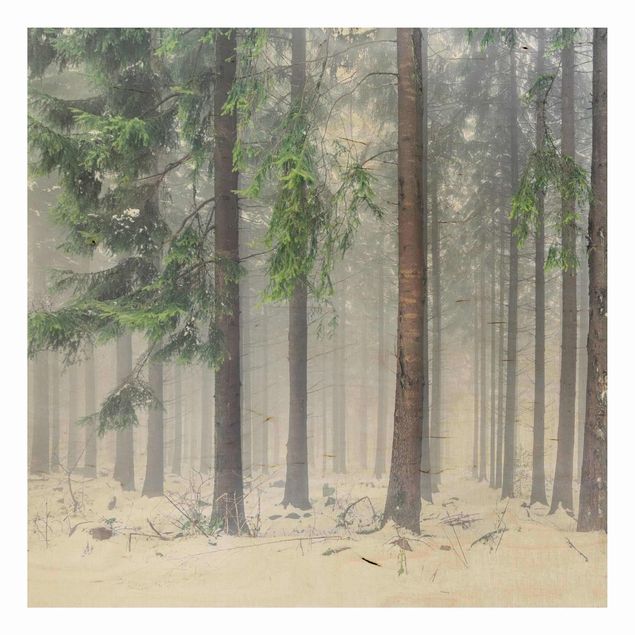 Stampa su legno - Conifere d'inverno
