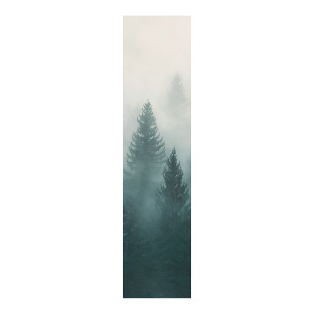 Set tende a pannello Foresta di conifere nella nebbia