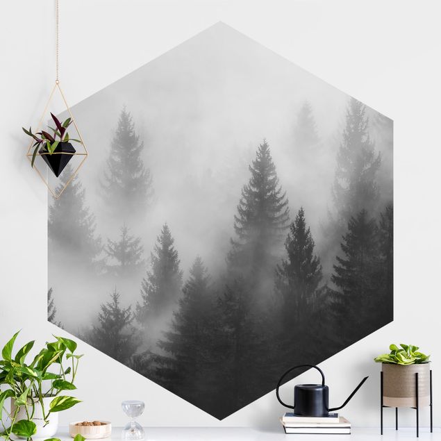 Carta da parati foresta nella nebbia Foresta di conifere nella nebbia Bianco e nero