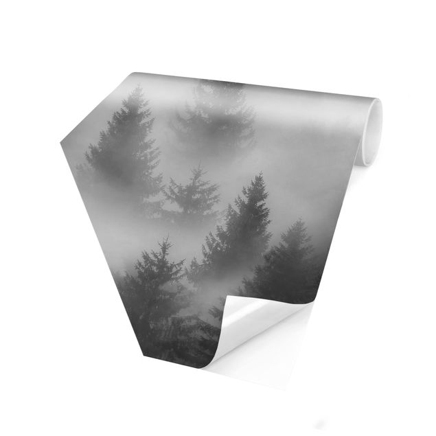 Carta da parati esagonale adesiva con disegni - Bosco di conifere nella nebbia in bianco e nero