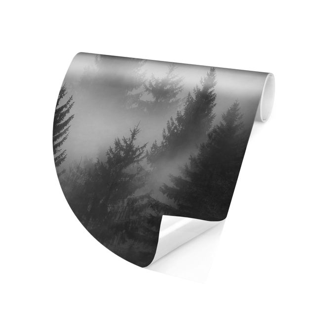 Fotomurale rotondo Foresta di conifere nella nebbia Bianco e nero