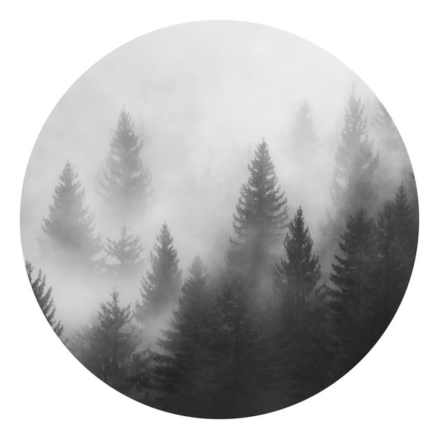 Carta da parati rotonda autoadesiva - foresta di conifere nella nebbia nero e nero