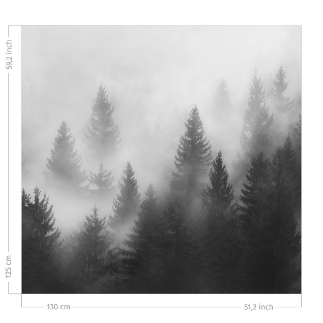 Tende oscuranti Bosco di conifere nella nebbia in bianco e nero