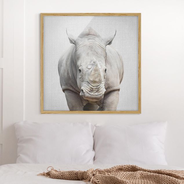 stampe animali Rinoceronte Nora