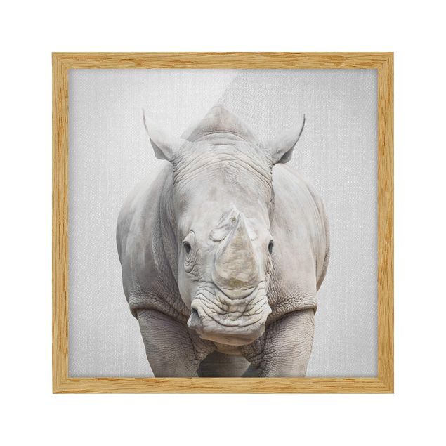 Poster con cornice - Rinoceronte Nora