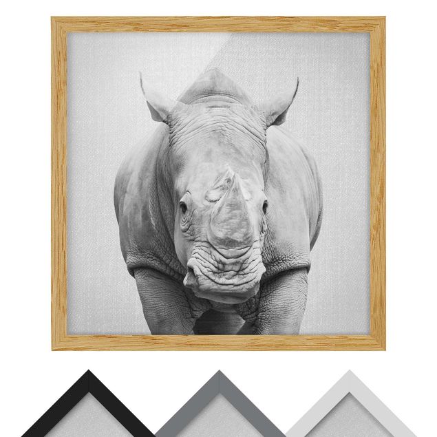 Poster con cornice - Rinoceronte Nora in bianco e nero