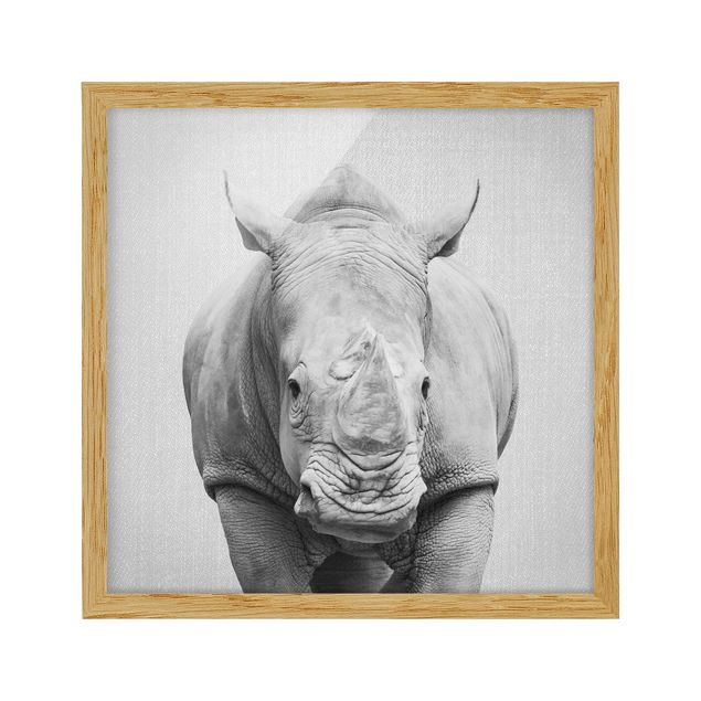 Poster con cornice - Rinoceronte Nora in bianco e nero