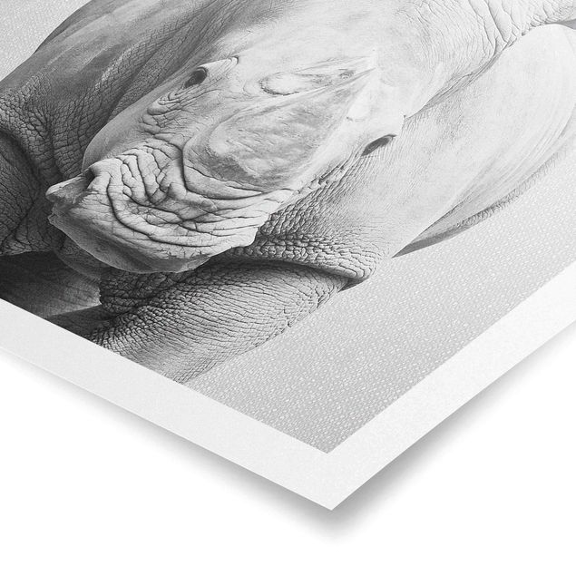 Poster riproduzione - Rinoceronte Nora in bianco e nero