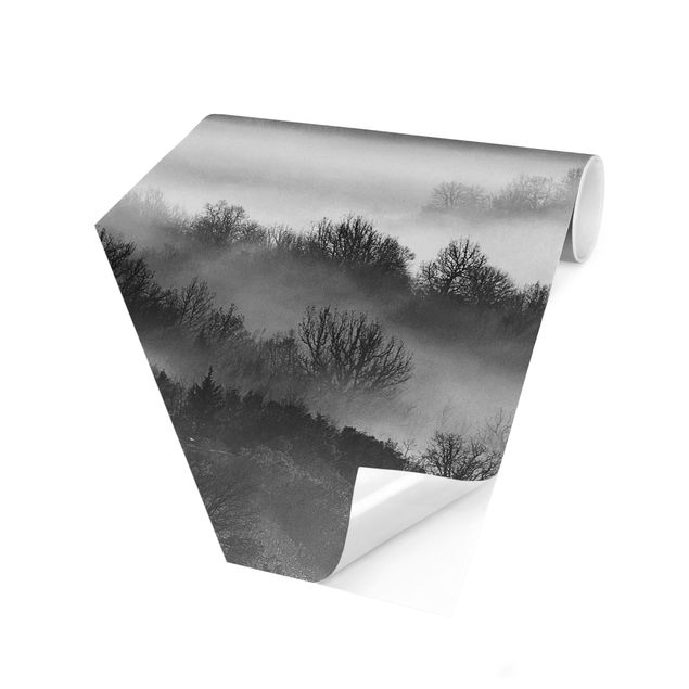Carta da parati esagonale adesiva con disegni - Nebbia all'alba in bianco e nero