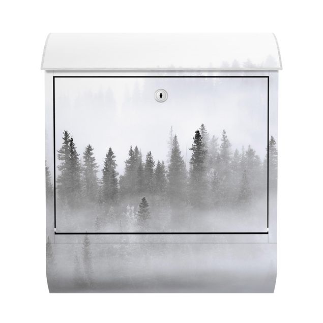 Cassetta postale - Nebbia nel bosco di abeti in bianco e nero