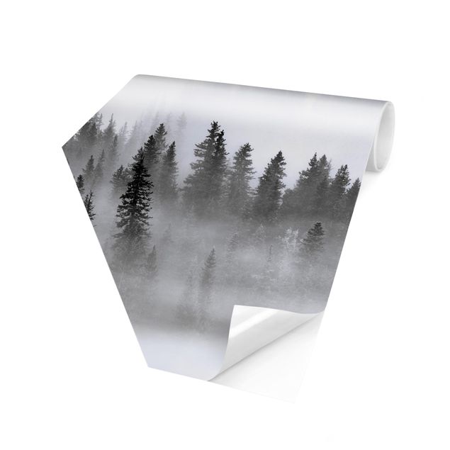 Carta da parati esagonale adesiva con disegni - Nebbia nel bosco di abeti in bianco e nero