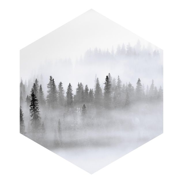 Carta da parati esagonale adesiva con disegni - Nebbia nel bosco di abeti in bianco e nero