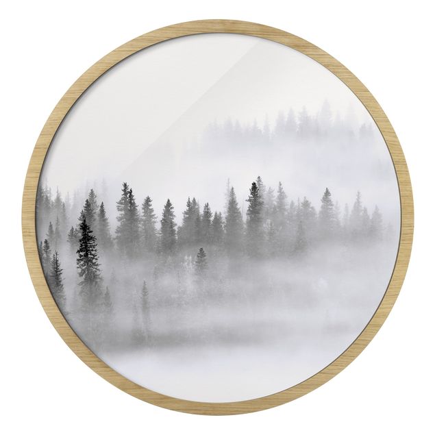 Quadro rotondo incorniciato - Nebbia nel bosco di abeti in bianco e nero