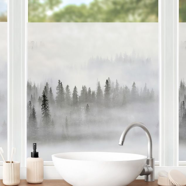 Pellicola per vetri per salone Nebbia nel bosco di abeti in bianco e nero