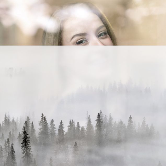 Decorazione per finestre - Nebbia nel bosco di abeti in bianco e nero