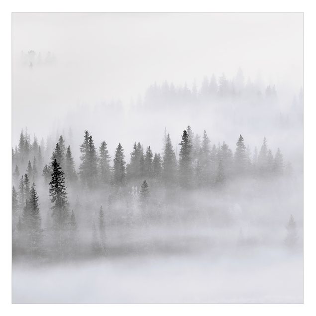 Decorazione per finestre - Nebbia nel bosco di abeti in bianco e nero