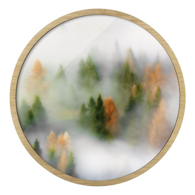 Quadro rotondo incorniciato - Foresta nebbiosa in autunno