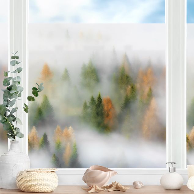 Pellicola per vetri per salone Foresta nebbiosa in autunno