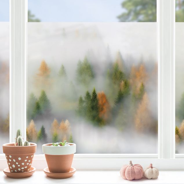 pellicola colorata per vetri Foresta nebbiosa in autunno